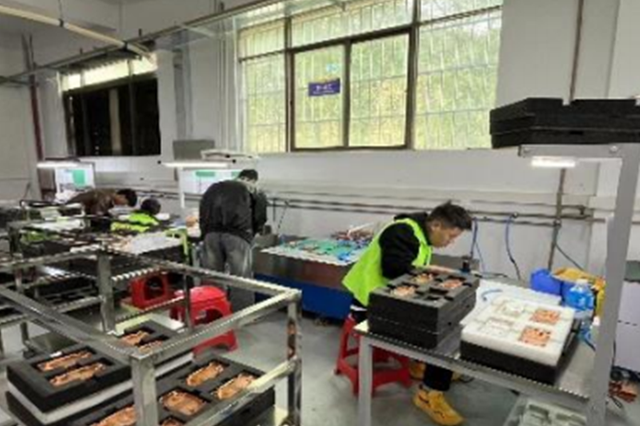 اختبار الضغط القابضة