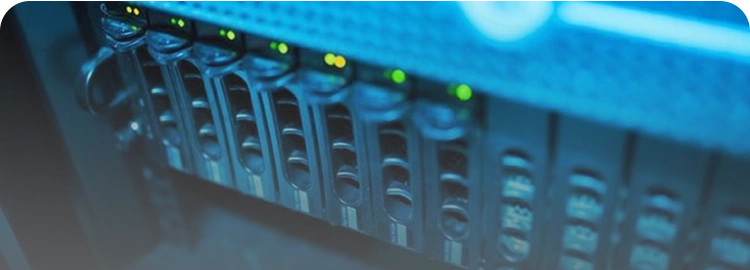 المحاصيل_1767758586429